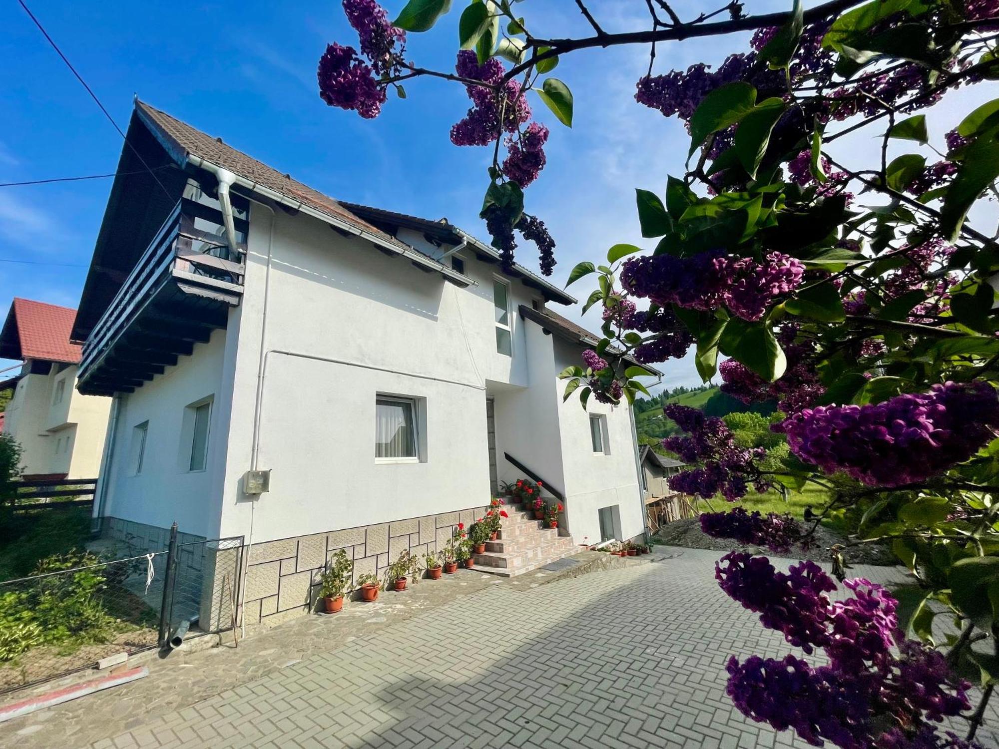 Casuta Cu Dumbrava Apartment Bran  Exterior photo