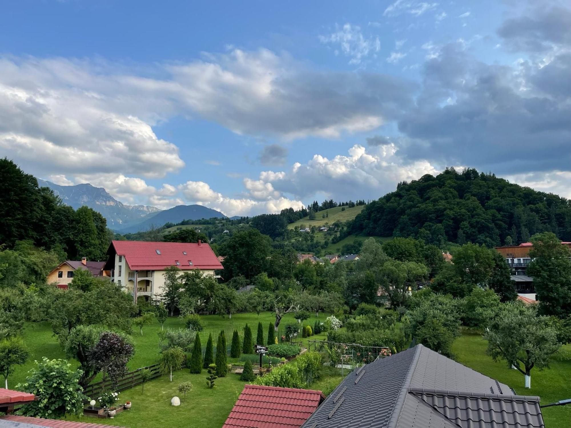 Casuta Cu Dumbrava Apartment Bran  Exterior photo