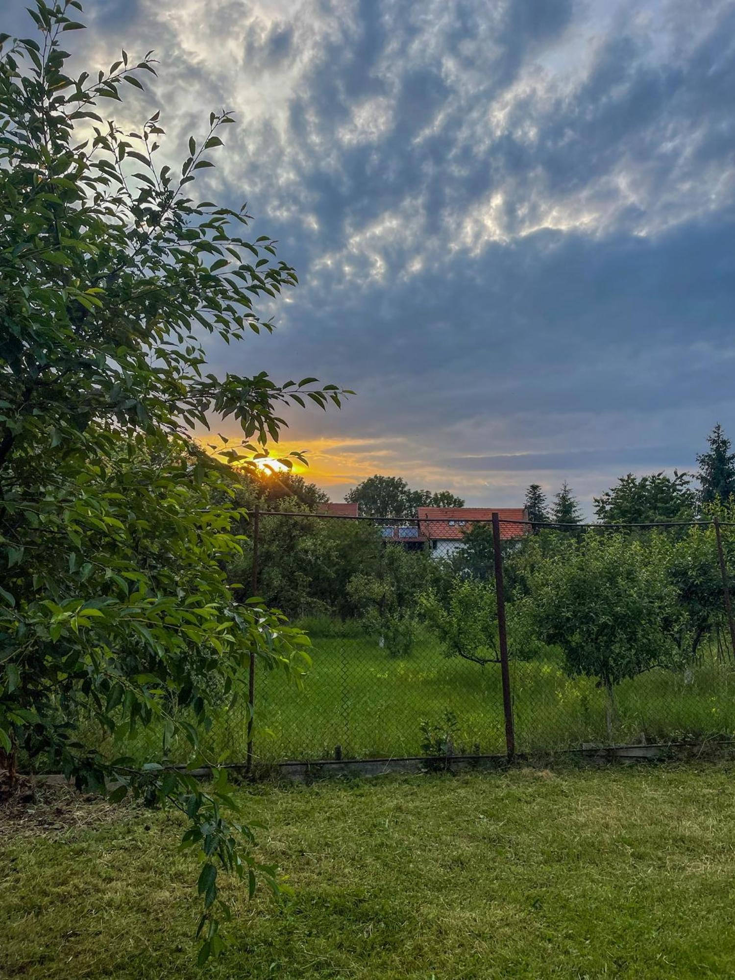 Casuta Cu Dumbrava Apartment Bran  Exterior photo