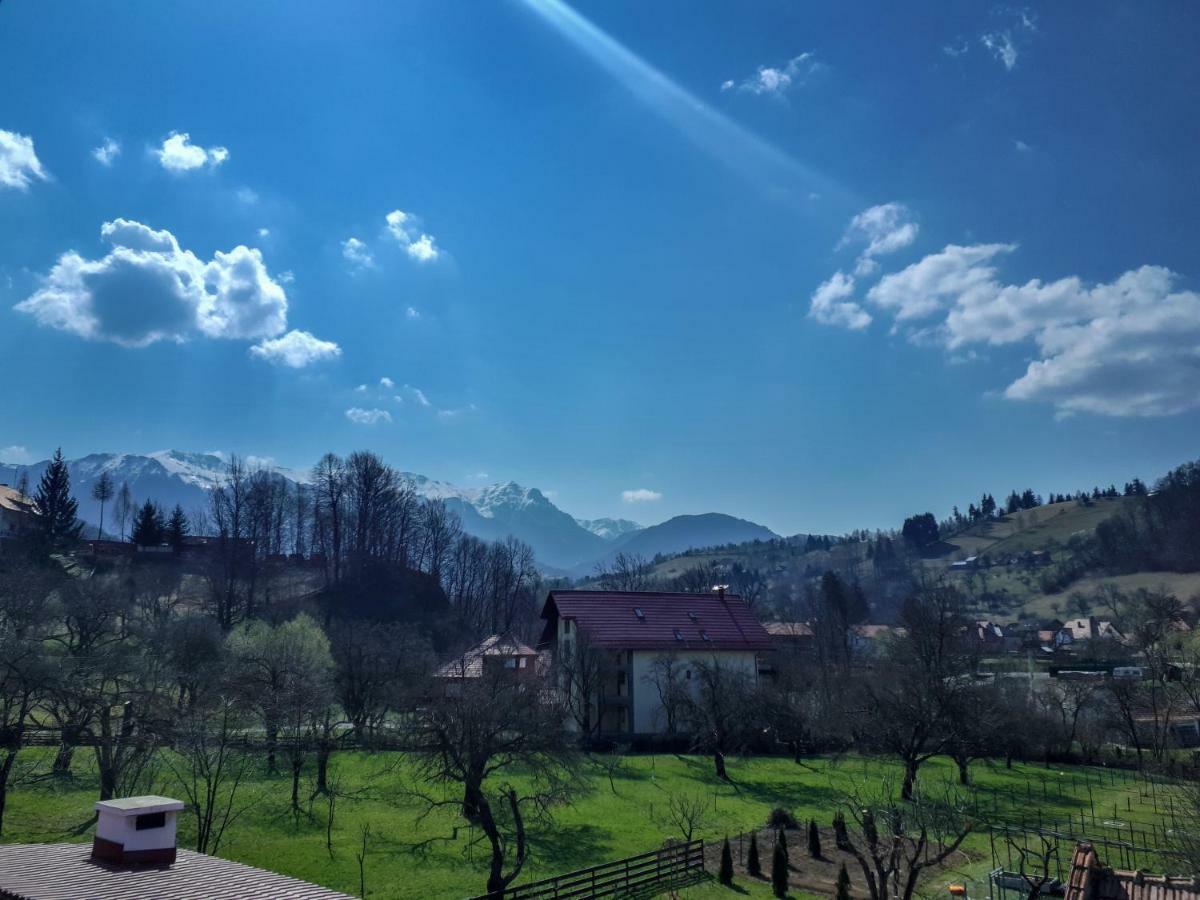 Casuta Cu Dumbrava Apartment Bran  Exterior photo